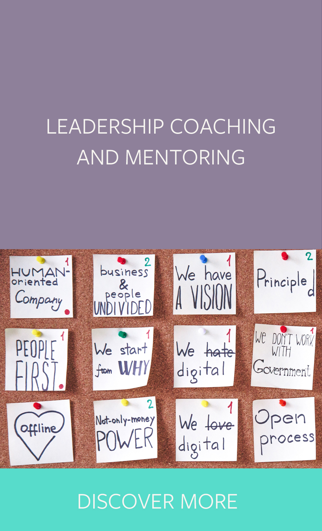 Leadership Coaching and mentoring